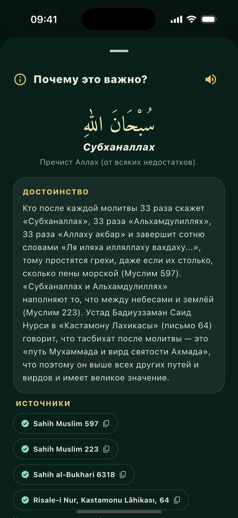 Почему это важно: достоинство зикра с проверенными ссылками на хадисы